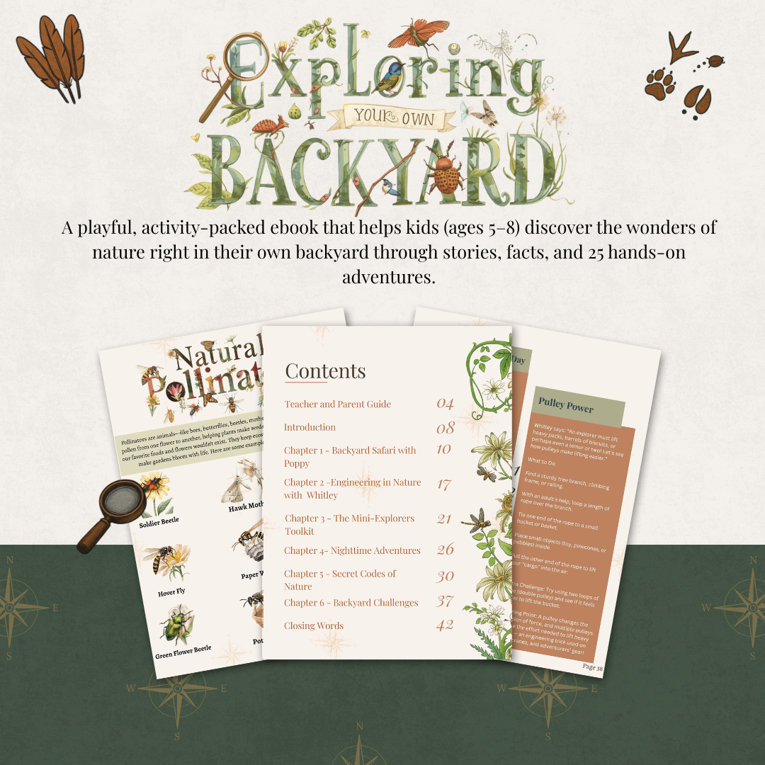 Exploring your own Backyard - Ebook